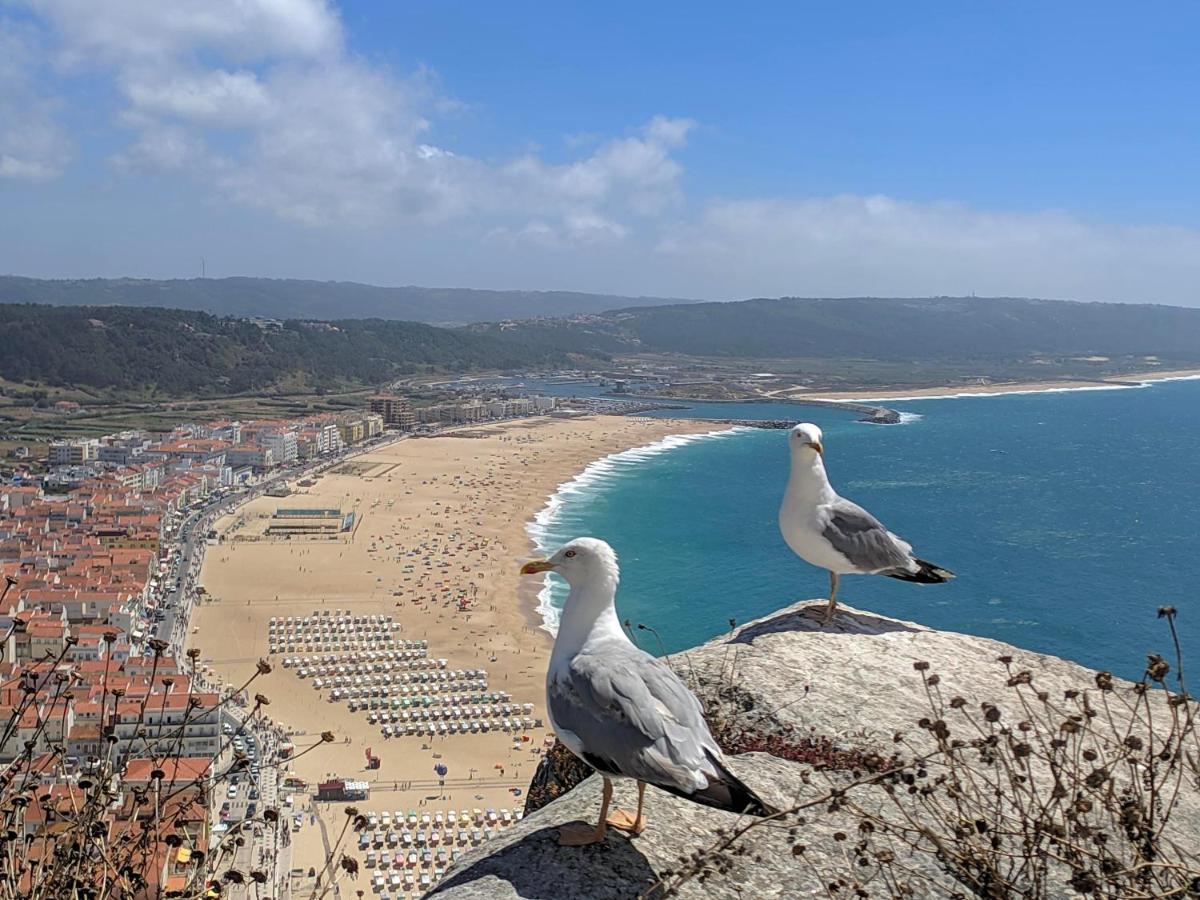 Ferienwohnung Blue Boat House - The Atlantic Breeze Nazaré Exterior foto